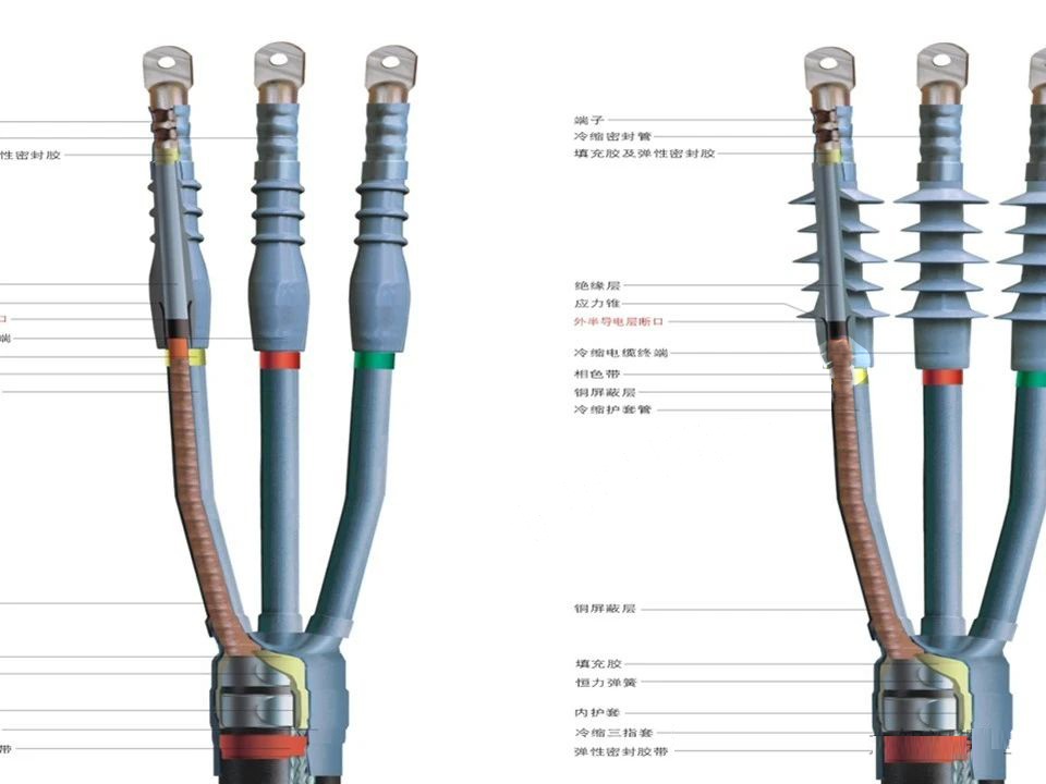 z6.com·(中国区)官方网站