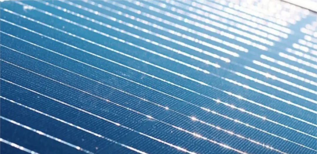 z6.com·(中国区)官方网站