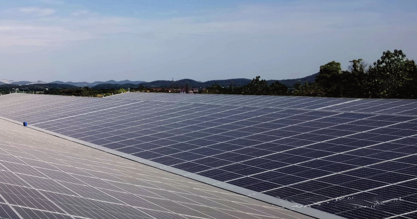 z6.com·(中国区)官方网站