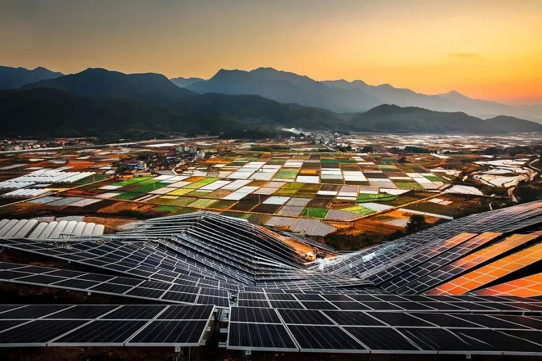 z6.com·(中国区)官方网站