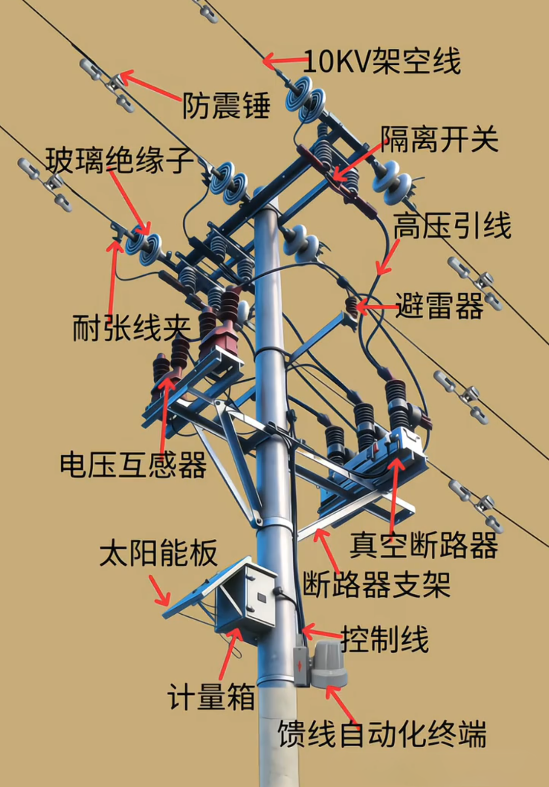 z6.com·(中国区)官方网站